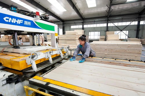 绥芬河木材加工贸易园区成功晋级 国家林业产业示范园区